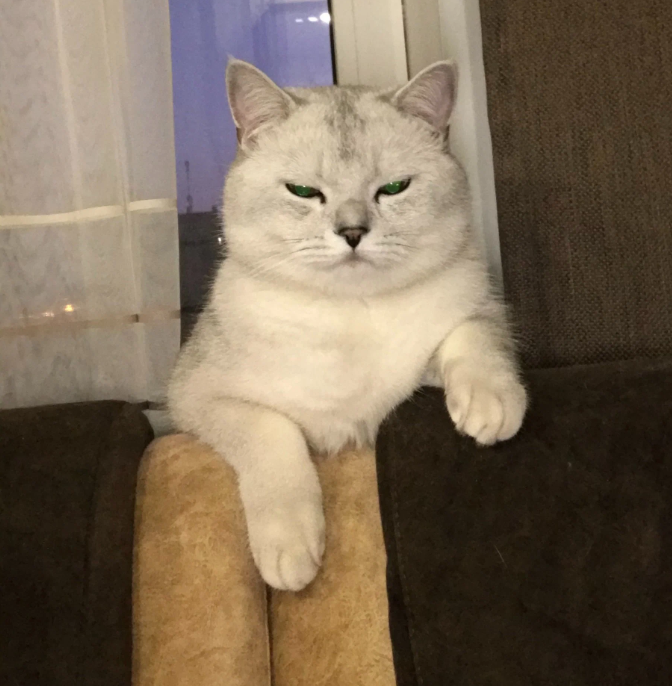 Денис Иванов
